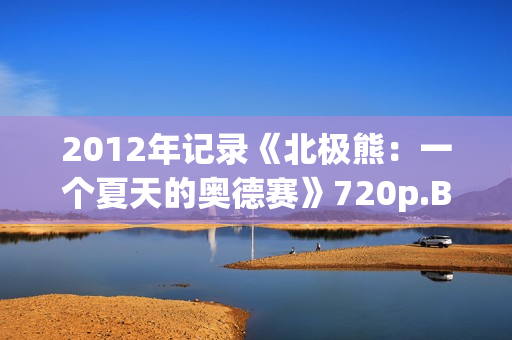 2012年记录《北极熊：一个夏天的奥德赛》720p.BD中字
