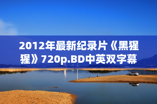 2012年最新纪录片《黑猩猩》720p.BD中英双字幕