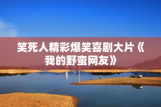 笑死人精彩爆笑喜剧大片《我的野蛮网友》