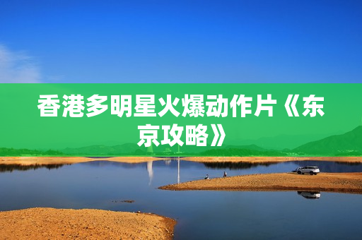 香港多明星火爆动作片《东京攻略》