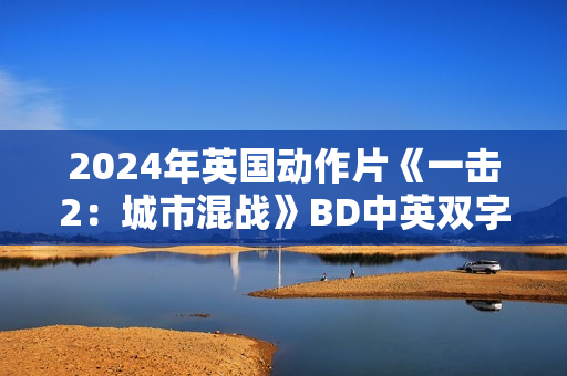 2024年英国动作片《一击2：城市混战》BD中英双字