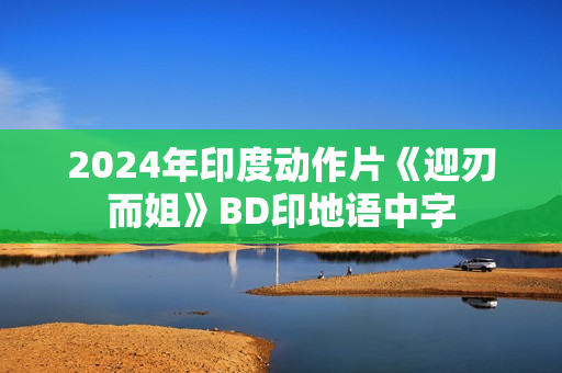 2024年印度动作片《迎刃而姐》BD印地语中字