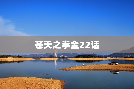 苍天之拳全22话