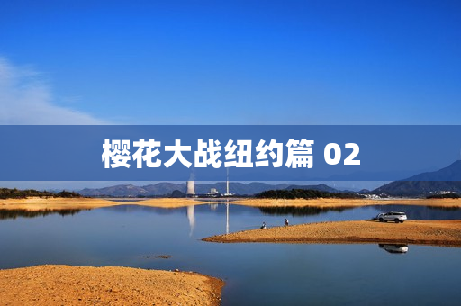 樱花大战纽约篇 02