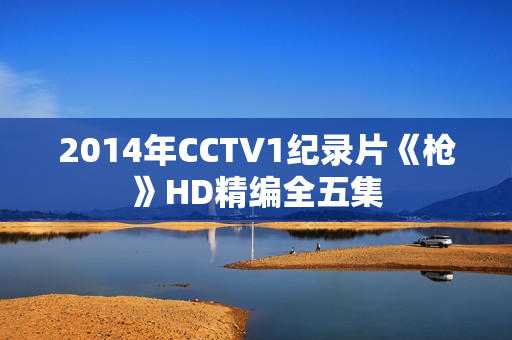 2014年CCTV1纪录片《枪》HD精编全五集