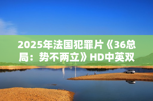 2025年法国犯罪片《36总局：势不两立》HD中英双字