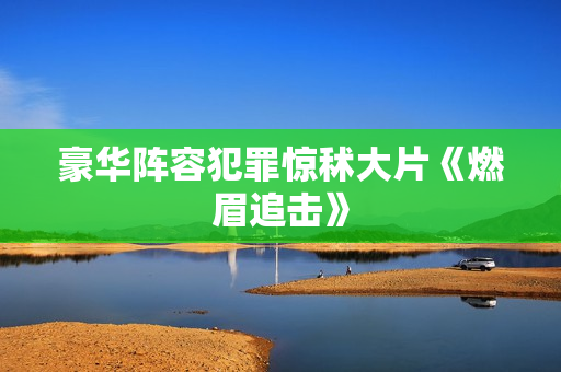 豪华阵容犯罪惊秫大片《燃眉追击》