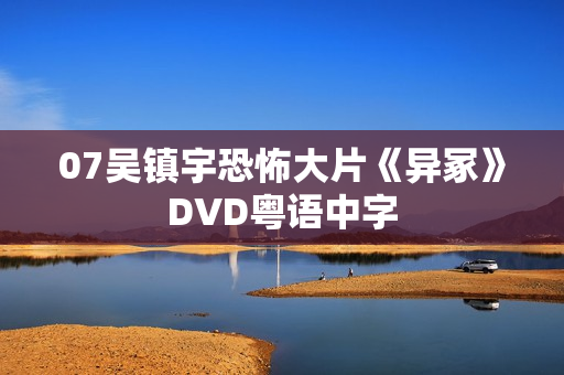 07吴镇宇恐怖大片《异冢》DVD粤语中字