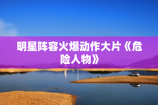 明星阵容火爆动作大片《危险人物》