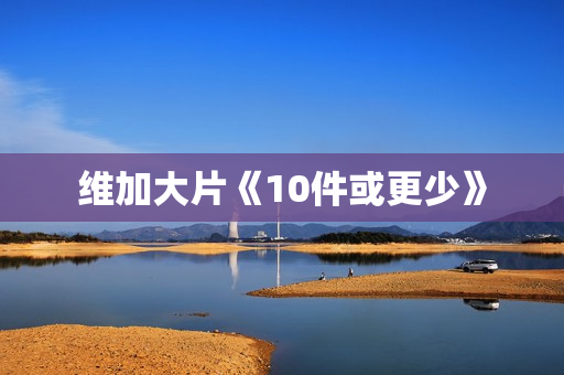 维加大片《10件或更少》