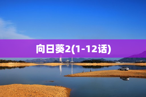 向日葵2(1-12话)