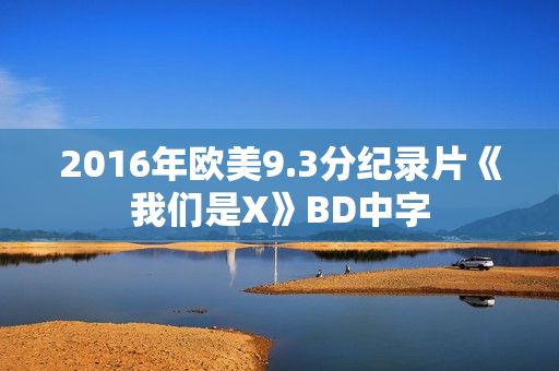 2016年欧美9.3分纪录片《我们是X》BD中字