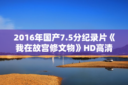 2016年国产7.5分纪录片《我在故宫修文物》HD高清国语中字