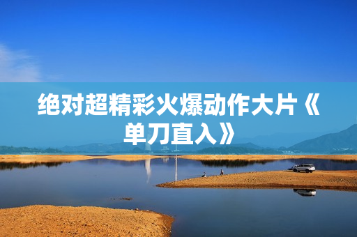 绝对超精彩火爆动作大片《单刀直入》