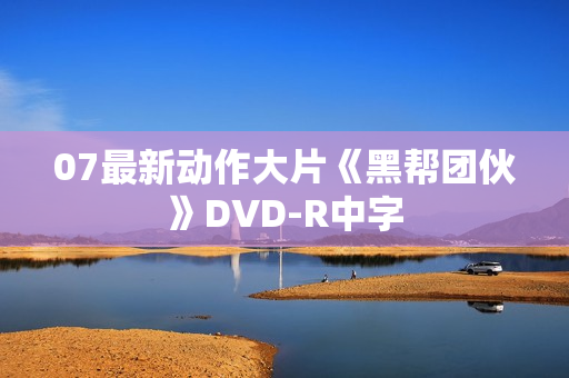 07最新动作大片《黑帮团伙》DVD-R中字