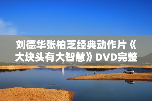 刘德华张柏芝经典动作片《大块头有大智慧》DVD完整版