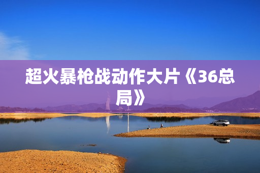 超火暴枪战动作大片《36总局》