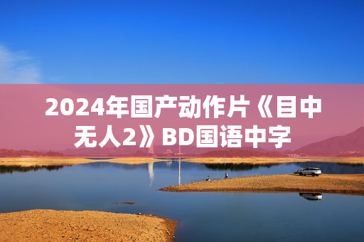 2024年国产动作片《目中无人2》BD国语中字