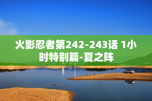 火影忍者第242-243话 1小时特别篇-夏之阵