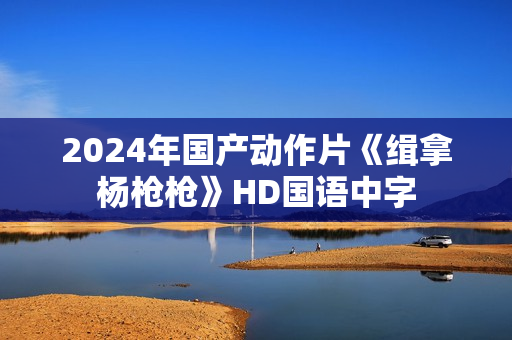 2024年国产动作片《缉拿杨枪枪》HD国语中字