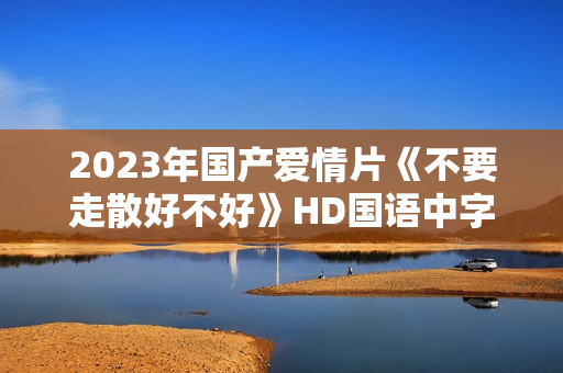 2023年国产爱情片《不要走散好不好》HD国语中字