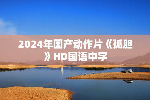 2024年国产动作片《孤胆》HD国语中字