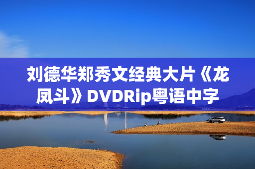 刘德华郑秀文经典大片《龙凤斗》DVDRip粤语中字