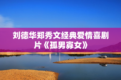 刘德华郑秀文经典爱情喜剧片《孤男寡女》