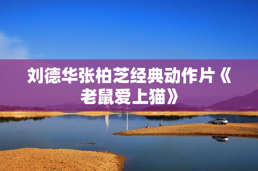 刘德华张柏芝经典动作片《老鼠爱上猫》