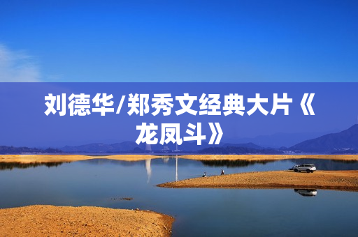 刘德华/郑秀文经典大片《龙凤斗》