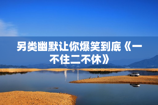 另类幽默让你爆笑到底《一不住二不休》