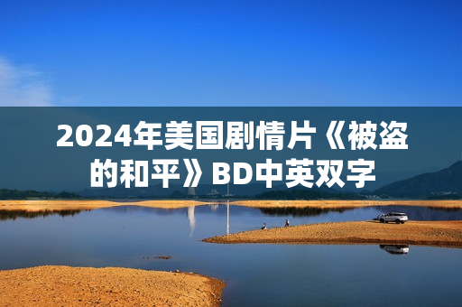2024年美国剧情片《被盗的和平》BD中英双字