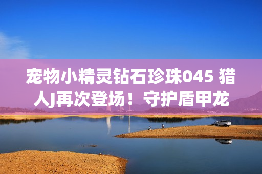 宠物小精灵钻石珍珠045 猎人J再次登场！守护盾甲龙！？