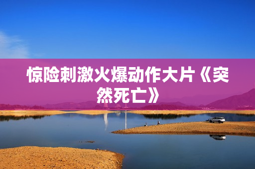 惊险刺激火爆动作大片《突然死亡》