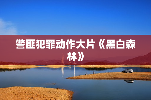 警匪犯罪动作大片《黑白森林》