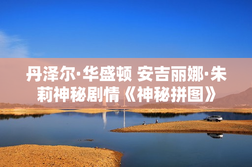 丹泽尔·华盛顿 安吉丽娜·朱莉神秘剧情《神秘拼图》