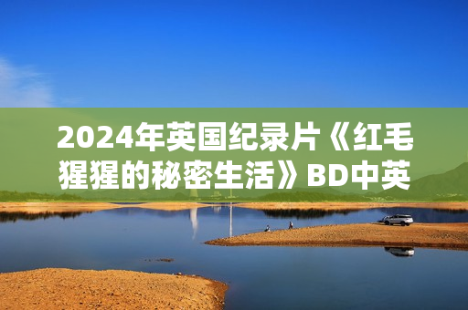 2024年英国纪录片《红毛猩猩的秘密生活》BD中英双字