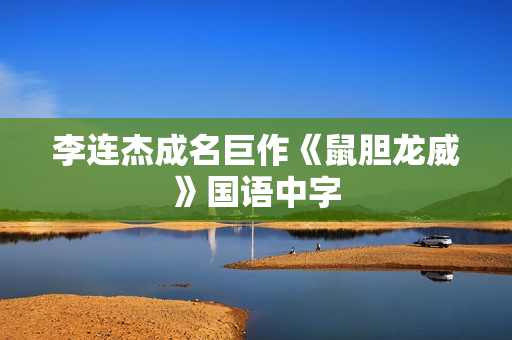李连杰成名巨作《鼠胆龙威》国语中字