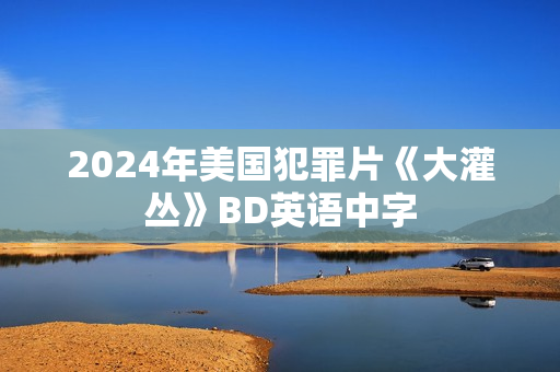 2024年美国犯罪片《大灌丛》BD英语中字