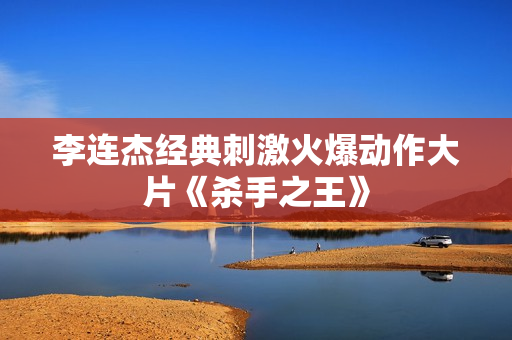 李连杰经典刺激火爆动作大片《杀手之王》