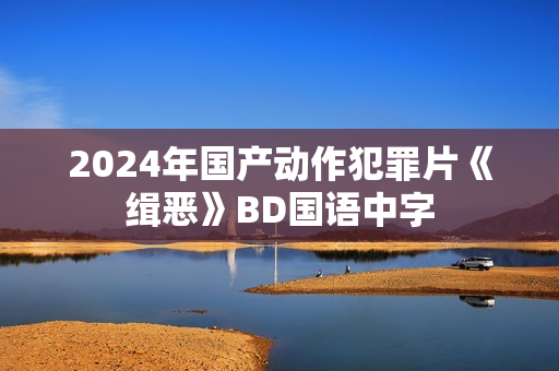 2024年国产动作犯罪片《缉恶》BD国语中字