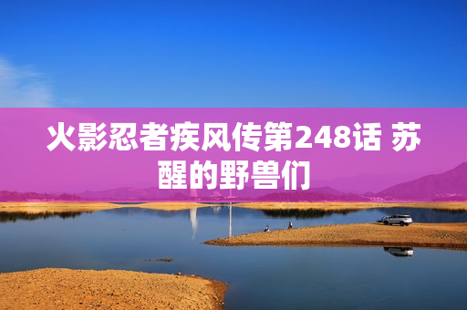 火影忍者疾风传第248话 苏醒的野兽们