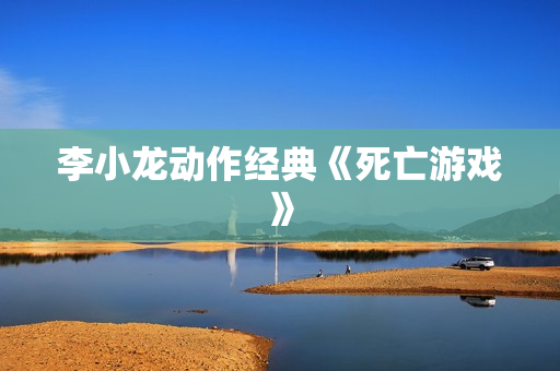 李小龙动作经典《死亡游戏》