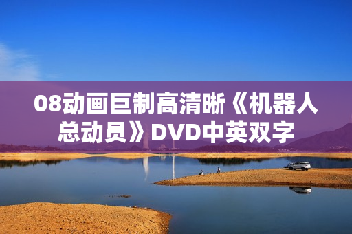 08动画巨制高清晰《机器人总动员》DVD中英双字
