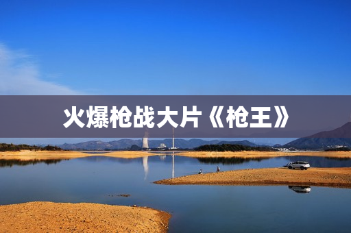 火爆枪战大片《枪王》