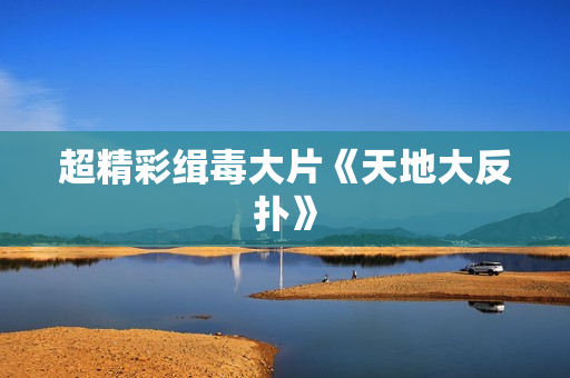 超精彩缉毒大片《天地大反扑》