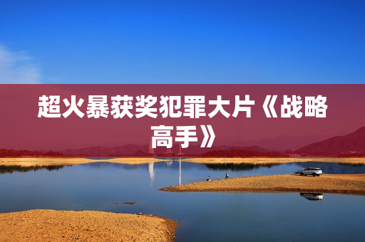 超火暴获奖犯罪大片《战略高手》