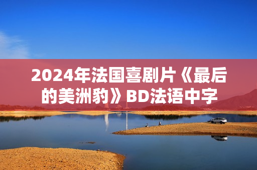 2024年法国喜剧片《最后的美洲豹》BD法语中字