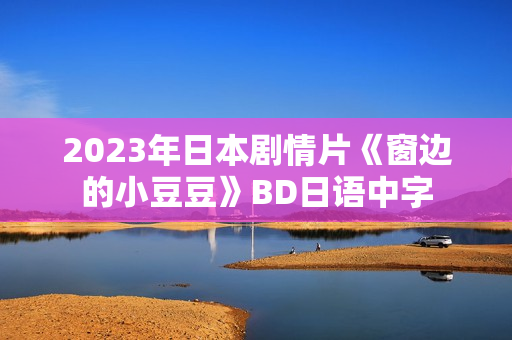 2023年日本剧情片《窗边的小豆豆》BD日语中字