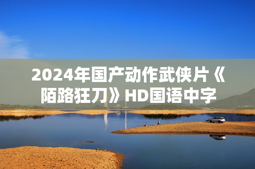 2024年国产动作武侠片《陌路狂刀》HD国语中字